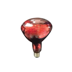 392100 λαμπτήρες πυράκτωσης