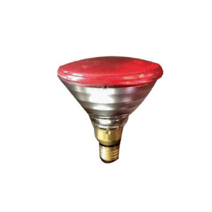 393175 λαμπτήρες πυράκτωσης