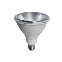 PAR3815CW διάφοροι λαμπτήρες led